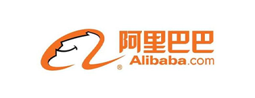 开云体育数字化案例